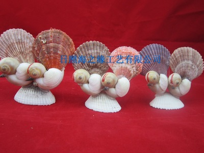 厂家直销 海螺贝壳批发 贝壳工艺品 贝壳小鸳鸯