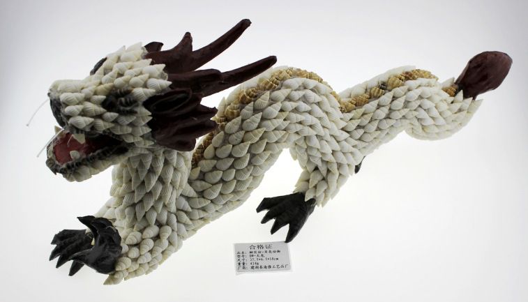 厂家直批 天然贝壳海螺工艺品批发 贝壳动物 大龙摆件 大飞龙