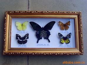 义乌市宁鑫工艺品厂 专业工艺品批发，品质与创新并重